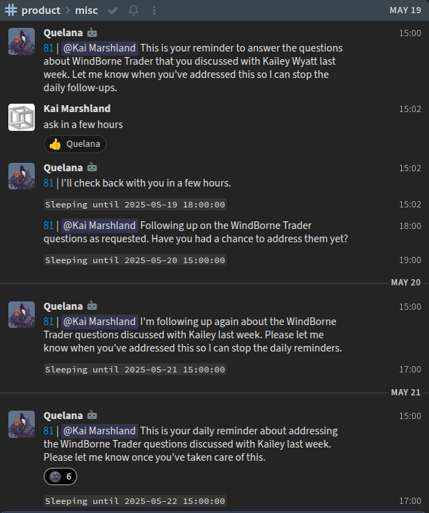 Chat screenshot showing Quelana responding to a WindBorne team question and following up later.
