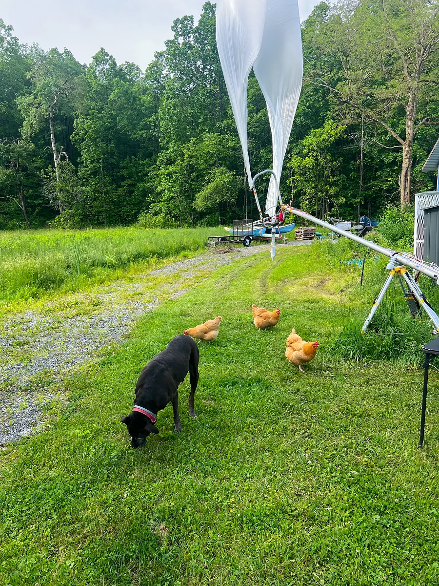 A black dog sniffs the grass beside a weather-balloon launch rig at the New York site.